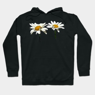 Daisies - Two White Daisies Waving Hoodie